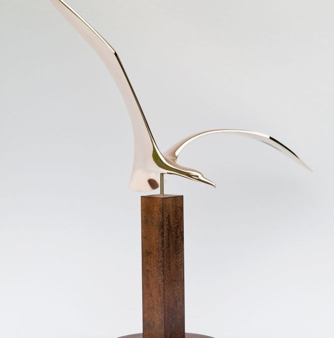 Gaviota Haiti